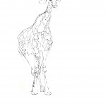 Cute giraffe posing for the drawing pad.