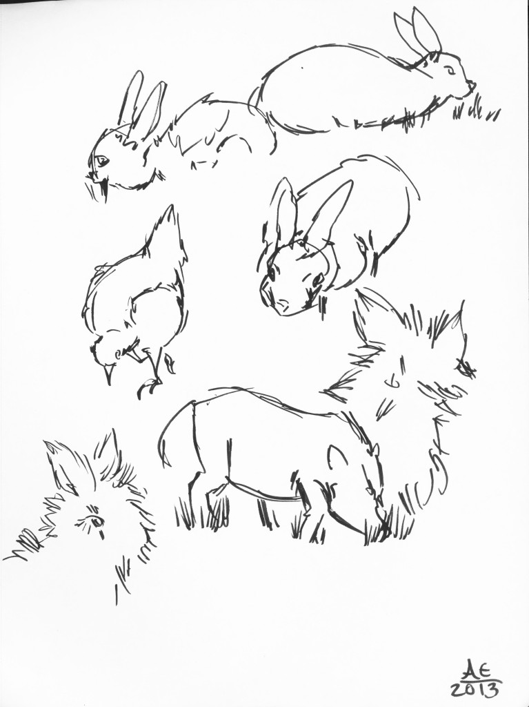 Bunny and Pig Studies