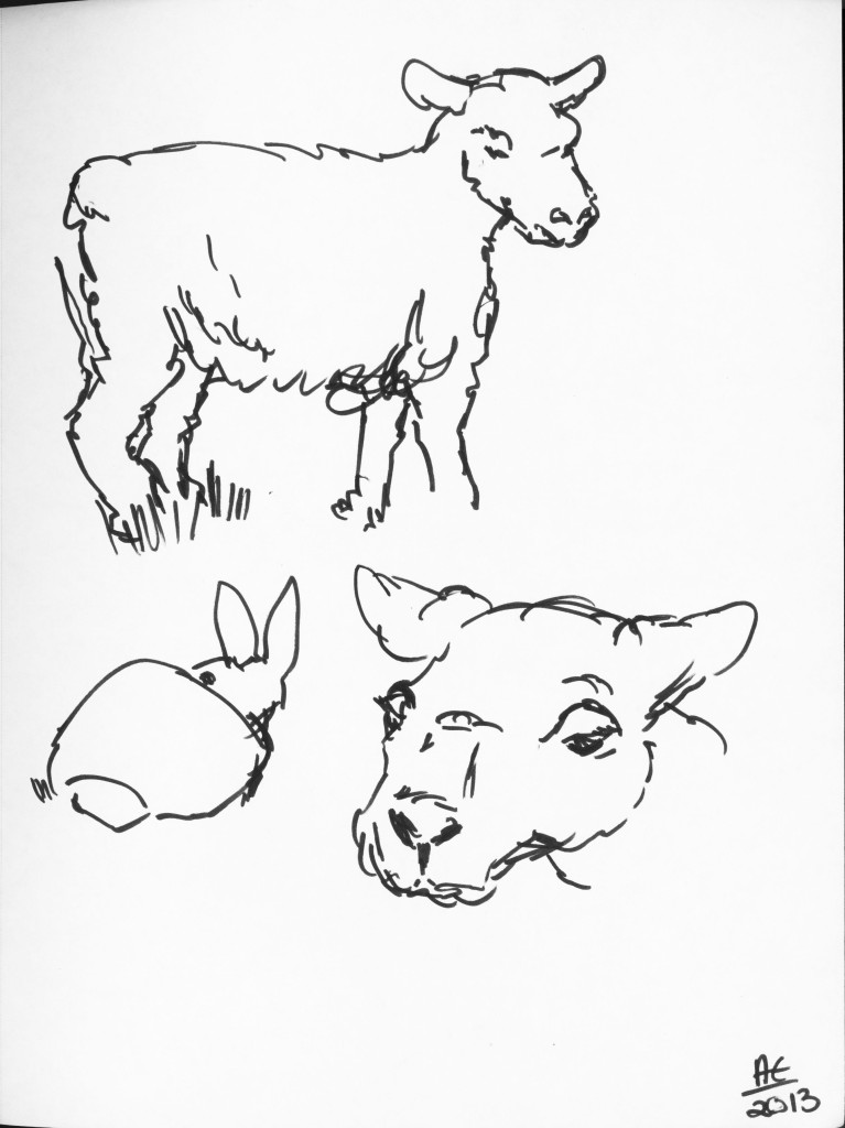 Sheep and Bunny