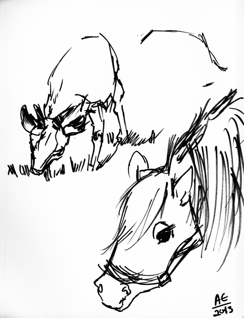 Goat and Pony