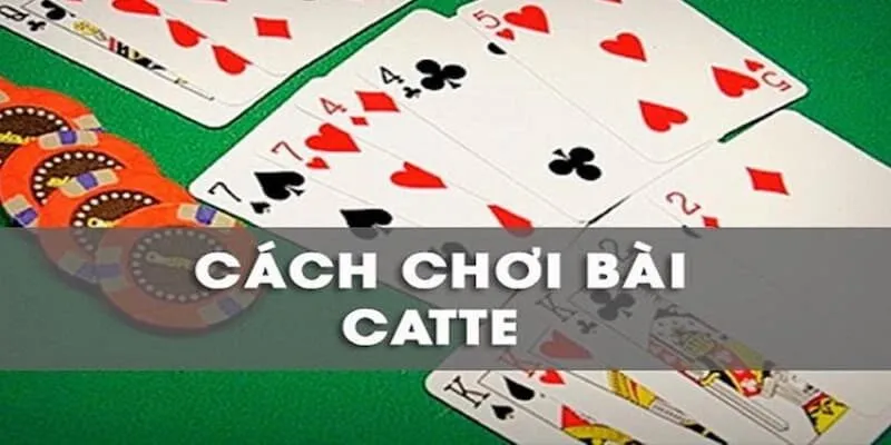 Giới thiệu chung về bài Catte tại 789CLUB